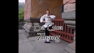 Wudang Bagua Zhang