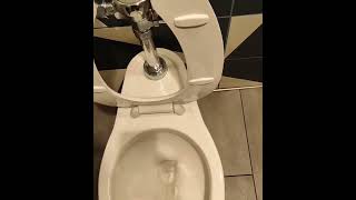 the toilet at my raising cane's Is flushing non-stop