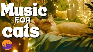 Bonding Music for You and Your Cat - Soothing and Relaxing Melodies to Chill with Your Cat 😻