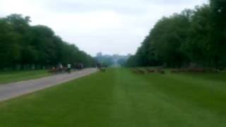 Windsor Great Park on 30th May 2016 deer crossing The Long Walk