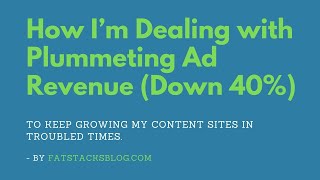 How I’m Dealing with Plummeting Ad Revenue (Down 40%)