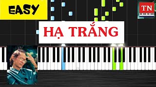 Hạ Trắng | Piano Tutorial | Piano Thy Nguyen [ EASY ]