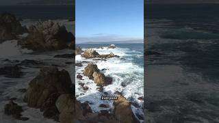 Point Lobos: Big Sur's Most Beautiful Nature Reserve