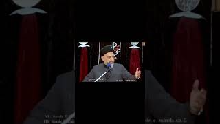 Allama Nusrat Bukhari | Haqooq #allamanusratabbasbukhari | #majliseaza #shiastatus #reels