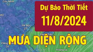 Dự báo thời tiết hôm nay và ngày mai 11/8/2024