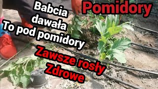 Pomidory - babcia zawsze to dawała, nim wsadziła je w ziemię.