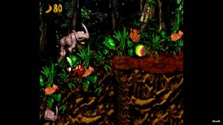 Donkey Kong Country 2  →  Jungle Theme ♪