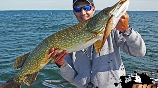 Трофейная рыбалка в Беларуси с Антоном Фишерманом! 113cm pike on Strike Pro Bandit Shad