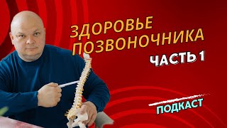 Почему позвоночник называют "столбом жизни"? Основные заболевания позвоночника