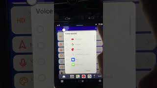 TBOX Series_Unable to call up voice assistant