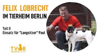 Felix Lobrecht im Tierheim Berlin - Champions suchen ein Zuhause - Folge 2: Paul