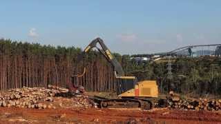 Tigercat Harvester H855C with Log Max 7000XT in Brazil