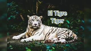 Name of Animals in Spanish and English | Nombre los animales en español e inglés