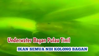 Bener2 Sarangnya Kakap putih nih Bagan !! Bagan Yadi Pulau tinil