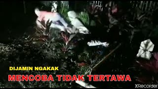 DIJAMIN NGAKAK | KOMPILASI VIDEO LUCU TAHAN TAWA 5 MENIT