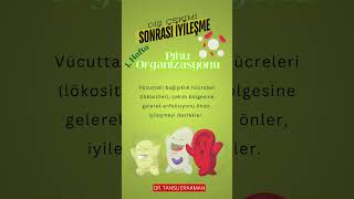 Diş çekimi sonrası iyileşme - İlk hafta pıhtı organizasyonu ve enfeksiyon önleme. 🦷✨ #dişhekimi