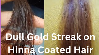 Dull Gold Streak on Hinna Coated Hair