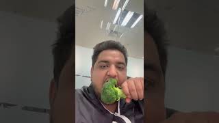 Veg Leg Piece #vegetables #broccoli #funny #video #office #fun #vegan #legpiece #raw