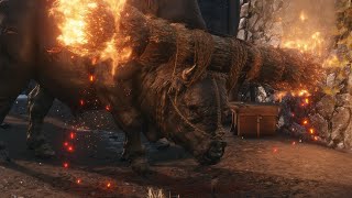 Sekiro - Blazing Bull, No Kuro's Charm, Demon Bell, no damage