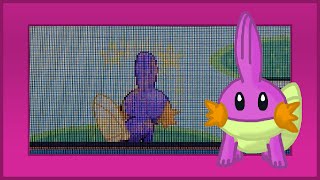 LIVE!! Shiny Mudkip after only 1,690 SRs!!! (Ruby)