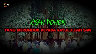 Kisah Pohon yang Merunduk Kepada Rasulullah SAW saat Dalam Perjalanan