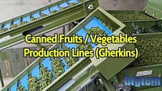 Canned Fruits / Vegetables Production Lines (Gherkins)