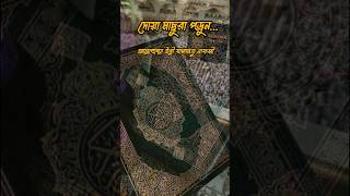 দোয়া মাছুরা #ইসলামিক_ভিডিও #shots #viralshorts #islamic #দোয়া