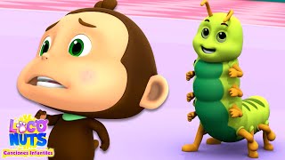 Bicho Bicho Canción Infantil De Los Insectos 🐛🐜🐞 + Más Rimas Infantiles