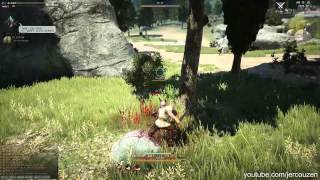 Black Desert CBT - Fighter Combat Gameplay