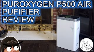 PurOxygen P500 Air Purifier - Review, Maintenance & WTF is CADR/HEPA?