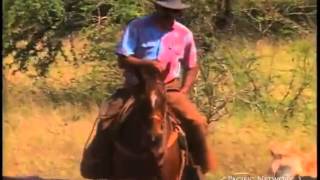 Paniolo O Hawaii - Cowboys of the Far West   Trailer