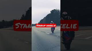 Suzuki GSXR 600 standup wheelie #youtubeshorts