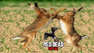 Red Dead Online - Black-tailed Jackrabbits skinned