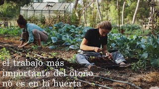 Una buena manera de perder seguidores y cómo nos mantenemos delgadas - Un día en la vida