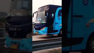 BUS BLUE LINE MASUK PINTU TOL SRAGEN TIMUR‼️#shorts #huntingbus #busmania #blueline #bluestar #bus