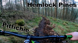 Hemlock Pines - Pitfichie