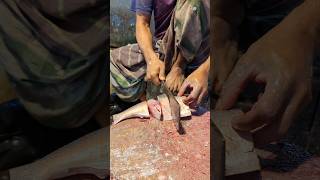 Amazing Hilsa Fish Cutting Skills In Bangladesh Fish Market By Expert Cutter #shorts