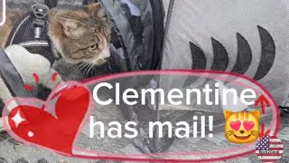 Clementine has mail! | Off-grid Living,  RV Life, Couple build