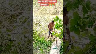 Cutting lock machine, Fails chainsaw cutting, tree cutting lock #shorts #viral #fail #cutting