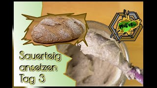 Roggensauerteig ansetzen (Tag 3)