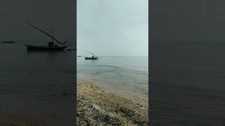 Laut indonesia #lautindonesia #pantai #airpasang #ahorts