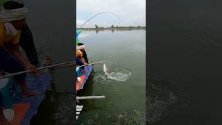 Awesome Fishing Hook Video