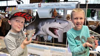 The Em Sullivan Show: Episode 5, Farmer's Market Fun and Megalodon Teeth