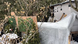 ☠️ Motorcycle Carport RIP 🪦 👻 Did Not Make It Through The Snow ❄️ ⛄️ Storm ⛈️ - PrincessAuto 👸