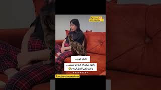 وانمود کردم گربمو نمیبینم و حالا عکس العمل گربه من ، خدا می دونه چه فکری داره میکنه#گربه_خانگی #cat