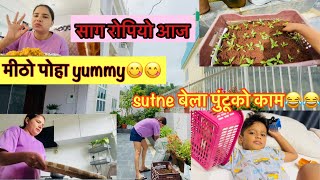 Samdini ropiyo aaja  /yummy poha/thai palungo ropnu vayo ??/@ShaluGautamEntertainment