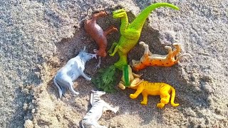 Menemukan Kambing, Macan, Kodok, Sapi lucu, Gajah Lucu, Dinosaurus, Jebra, Rusa, Harimau