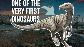 Herrerasaurus | Discover the First Dinosaurs