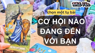 chọn một tụ bài tarot 💓 CƠ HỘI NÀO ĐANG ĐẾN VỚI BẠN 💓 Nhã Yên