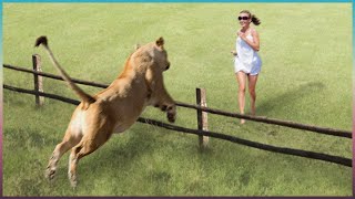 Animais Que Reencontraram Seus Donos Após Anos!